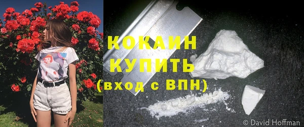 мяу мяу мука Аркадак